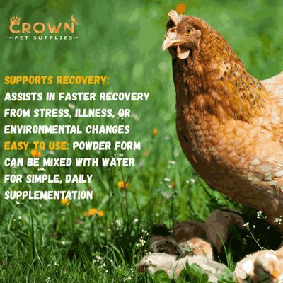 Show full view: Crown Pet Supplies Complete Daily Vitamins Powder Chicken Supplement, 3.53-oz jar slide 7 of 8