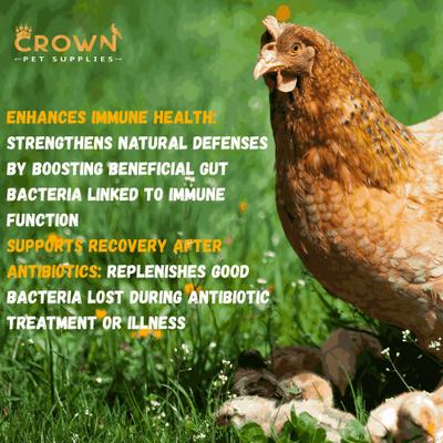 Show full view: Crown Pet Supplies Probiotics Over 10 Billions Beneficial Bacteria Powder Chicken Supplement, 3.53-oz jar slide 6 of 7