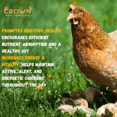 Show full view: Crown Pet Supplies Complete Daily Vitamins Powder Chicken Supplement, 3.53-oz jar slide 6 of 8