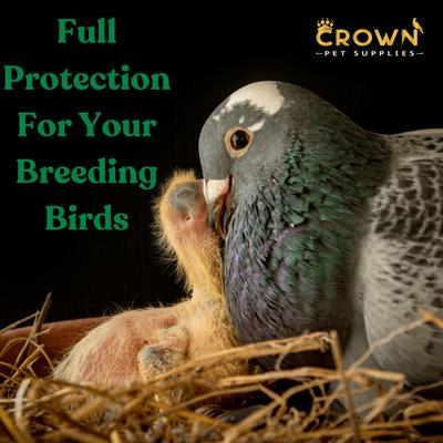 Show full view: Crown Pet Supplies Dewormer Powder Pigeon Supplement, 3.53-oz jar slide 4 of 6