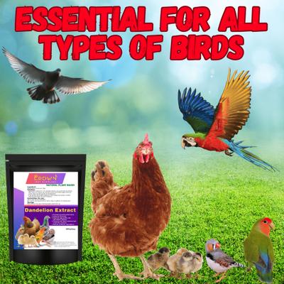 Show full view: Crown Pet Supplies Dandelion Extract Powder Bird Supplement, 7.055-oz bag slide 4 of 5