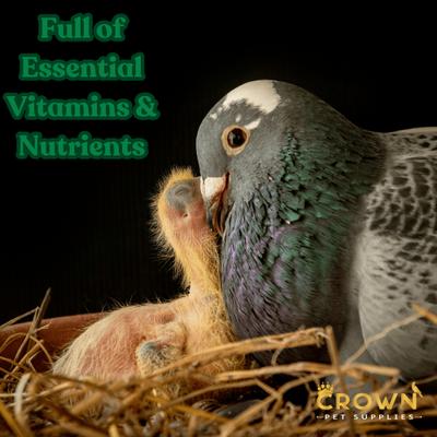Show full view: Crown Pet Supplies Treasure Pills Fertility, Growth & Immunity Pigeon Supplement, 100 count slide 4 of 6