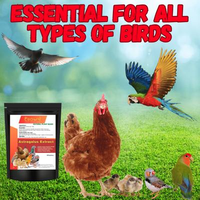 Show full view: Crown Pet Supplies Astragalus Extract Powder Bird Supplement, 7.055-oz bag slide 5 of 5