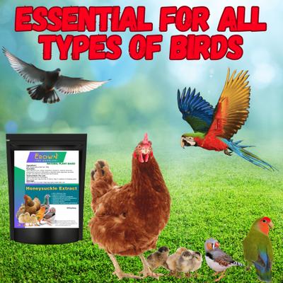 Show full view: Crown Pet Supplies Honeysuckle Extract Powder Bird Supplement, 7.055-oz bag slide 5 of 5