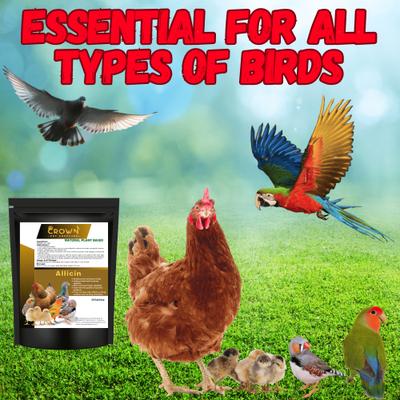 Show full view: Crown Pet Supplies Allicin Antibacterial & Bactericidal Powder Bird Supplement, 7.055-oz bag slide 5 of 5