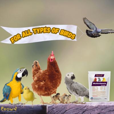 Show full view: Crown Pet Supplies Powder Multivitamin Bird Supplement, 3.53-oz bag slide 2 of 6