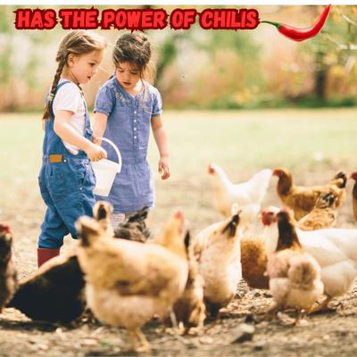 Show full view: Crown Pet Supplies All Natural Plant Based Dewormer Powder Chicken Supplement, 7.055-oz bag slide 4 of 5