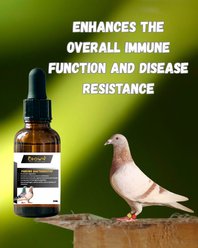 Crown Pet Supplies BacterioSTOP Immunity Against Bacteria & Viruses Liquid Pigeon Supplement, 50-mL bottle slide 2 of 6