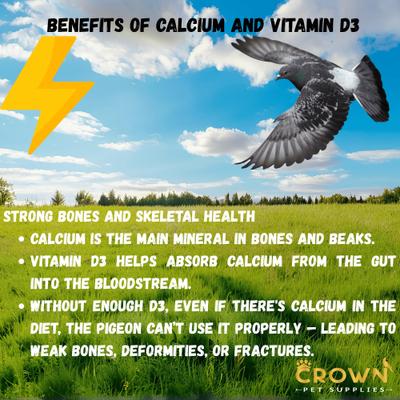 Show full view: Crown Pet Supplies Calcium with Vitamin D3 Powder Pigeon Supplement, 3.53-oz jar slide 4 of 8