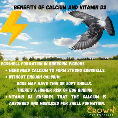 Show full view: Crown Pet Supplies Calcium with Vitamin D3 Powder Pigeon Supplement, 3.53-oz jar slide 5 of 8
