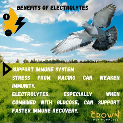 Show full view: Crown Pet Supplies Electrolytes Plus Powder Pigeon Supplement, 3.53-oz jar slide 9 of 9