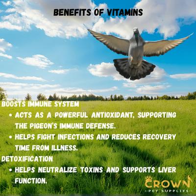 Show full view: Crown Pet Supplies Vitamins Plus Powder Pigeon Supplement, 3.53-oz jar slide 5 of 9