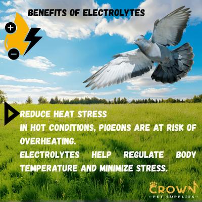 Show full view: Crown Pet Supplies Electrolytes Plus Powder Pigeon Supplement, 3.53-oz jar slide 8 of 9