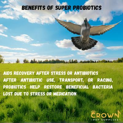 Show full view: Crown Pet Supplies Super Probiotic Over 10 Billions Bacteria Powder Pigeon Supplement, 3.53-oz jar slide 6 of 9