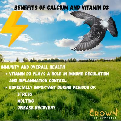 Show full view: Crown Pet Supplies Calcium with Vitamin D3 Powder Pigeon Supplement, 3.53-oz jar slide 7 of 8