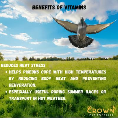 Show full view: Crown Pet Supplies Vitamins Plus Powder Pigeon Supplement, 3.53-oz jar slide 4 of 9