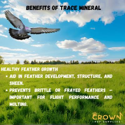 Show full view: Crown Pet Supplies Trace Mineral Elements Powder Racing Pigeon Supplement, 3.53-oz jar slide 5 of 9