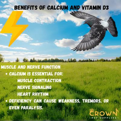 Show full view: Crown Pet Supplies Calcium with Vitamin D3 Powder Pigeon Supplement, 3.53-oz jar slide 6 of 8