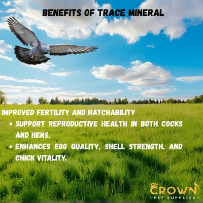 Show full view: Crown Pet Supplies Trace Mineral Elements Powder Racing Pigeon Supplement, 3.53-oz jar slide 6 of 9
