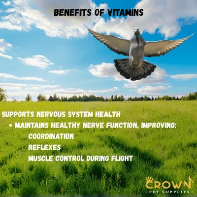 Show full view: Crown Pet Supplies Vitamins Plus Powder Pigeon Supplement, 3.53-oz jar slide 6 of 9