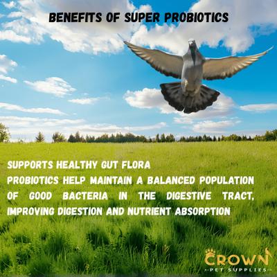 Show full view: Crown Pet Supplies Super Probiotic Over 10 Billions Bacteria Powder Pigeon Supplement, 3.53-oz jar slide 4 of 9