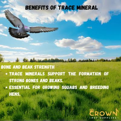 Show full view: Crown Pet Supplies Trace Mineral Elements Powder Racing Pigeon Supplement, 3.53-oz jar slide 4 of 9