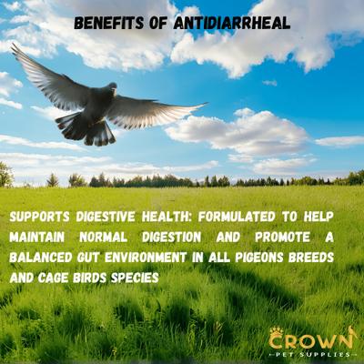 Show full view: Crown Pet Supplies Antidiarrheal Powder Bird Supplement, 3.53-oz jar slide 4 of 7