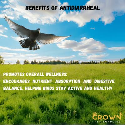 Show full view: Crown Pet Supplies Antidiarrheal Powder Bird Supplement, 3.53-oz jar slide 5 of 7