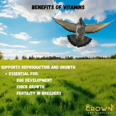 Show full view: Crown Pet Supplies Vitamins Plus Powder Pigeon Supplement, 3.53-oz jar slide 7 of 9