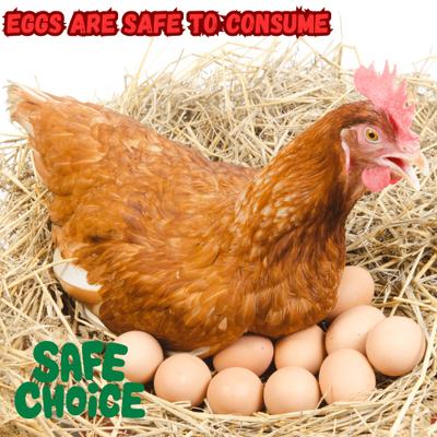 Show full view: Crown Pet Supplies All Natural Plant Based Dewormer Powder Chicken Supplement, 7.055-oz bag slide 3 of 5