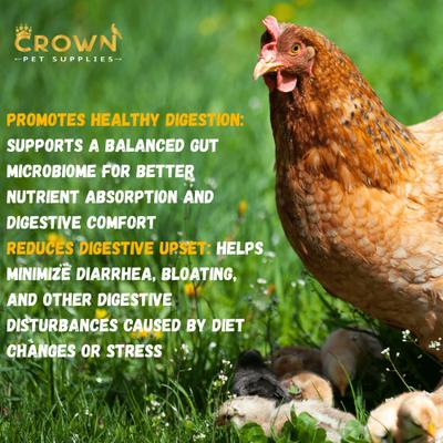 Show full view: Crown Pet Supplies Probiotics Over 10 Billions Beneficial Bacteria Powder Chicken Supplement, 3.53-oz jar slide 4 of 7