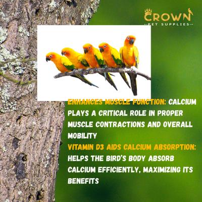 Show full view: Crown Pet Supplies Calcium & Vitamin D3 Powder Bird Supplement, 3.53-oz jar slide 5 of 8