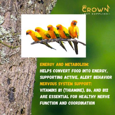 Show full view: Crown Pet Supplies Full Spectrum of Vitamins Powder Parrot Supplement, 3.53-oz jar slide 5 of 8
