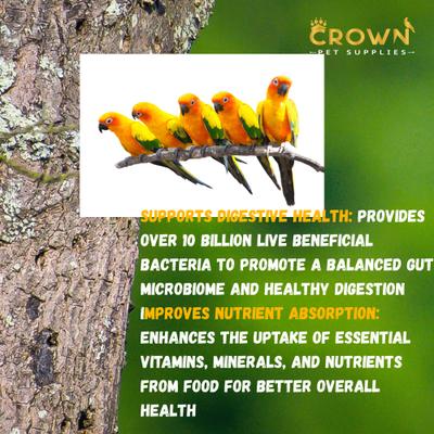 Show full view: Crown Pet Supplies Probiotic Over 10 Billions Bacteria Powder Parrot Supplement, 3.53-oz jar slide 4 of 7
