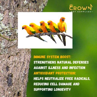 Show full view: Crown Pet Supplies Full Spectrum of Vitamins Powder Parrot Supplement, 3.53-oz jar slide 4 of 8