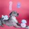 Show in main carousel: Bundle x Joy Oyster & Pearl Surprise Squeaky Crinkle Plush Dog Toy, Pink & Blue, Medium slide 5 of 5