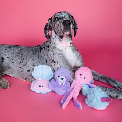 Show full view: Bundle x Joy Seaside Walrus Squeaky Crinkle Plush Dog Toy, Purple, Medium slide 6 of 6