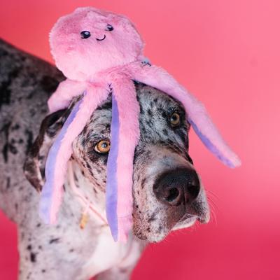 Show full view: Bundle x Joy Octopus Crinkle Legs Squeaky Plush Dog Toy, Pink & Purple, Medium slide 4 of 5