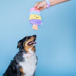 Bundle x Joy Poppin’ Popsicle Squeaky Crinkle Plush Dog Toy, Rainbow, Medium slide 2 of 5