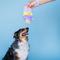 Show in main carousel: Bundle x Joy Poppin’ Popsicle Squeaky Crinkle Plush Dog Toy, Rainbow, Medium slide 5 of 6