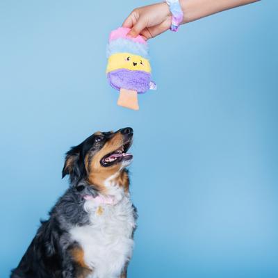 Show full view: Bundle x Joy Poppin’ Popsicle Squeaky Crinkle Plush Dog Toy, Rainbow, Medium slide 5 of 6