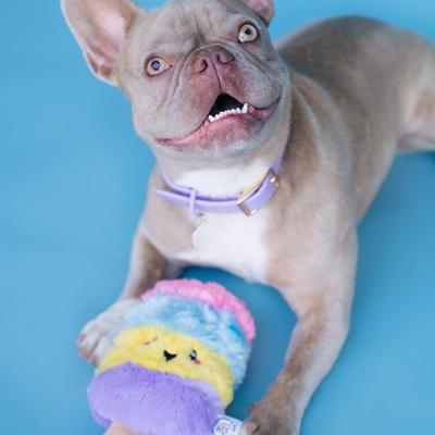 Show full view: Bundle x Joy Poppin’ Popsicle Squeaky Crinkle Plush Dog Toy, Rainbow, Medium slide 6 of 6