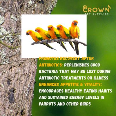 Show full view: Crown Pet Supplies Probiotic Over 10 Billions Bacteria Powder Parrot Supplement, 3.53-oz jar slide 6 of 7