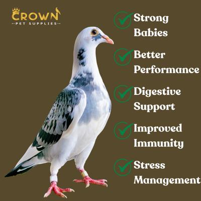 Show full view: Crown Pet Supplies Treasure Pills Fertility, Growth & Immunity Pigeon Supplement, 100 count slide 5 of 6