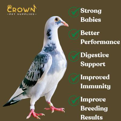 Show full view: Crown Pet Supplies Dewormer Powder Pigeon Supplement, 3.53-oz jar slide 5 of 6