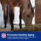 Show in main carousel: Purina Equine Senior Active Horse Feed, 50-lb bag slide 9 of 10