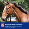 Show in main carousel: Purina Equine Senior Active Horse Feed, 50-lb bag slide 8 of 10