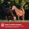 Show in main carousel: Purina Equine Senior Horse Feed, 50-lb bag slide 8 of 10