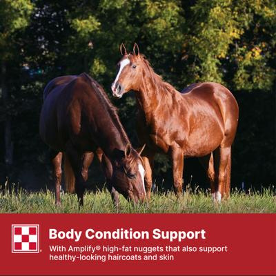 Show full view: Purina Equine Senior Horse Feed, 50-lb bag slide 8 of 10