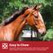 Show in main carousel: Purina Equine Senior Horse Feed, 50-lb bag slide 7 of 10